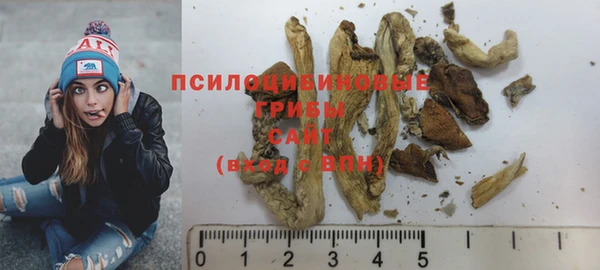ГАЛЛЮЦИНОГЕННЫЕ ГРИБЫ Дмитровск