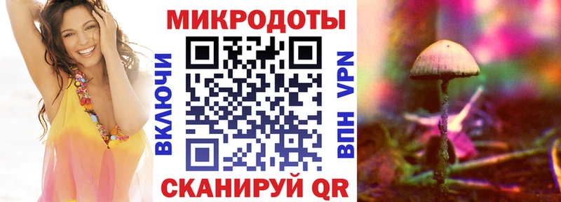 Псилоцибиновые грибы прущие грибы  как найти закладки  Завитинск 