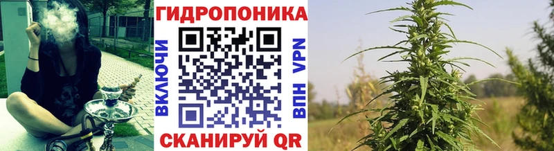 Конопля MAZAR Завитинск
