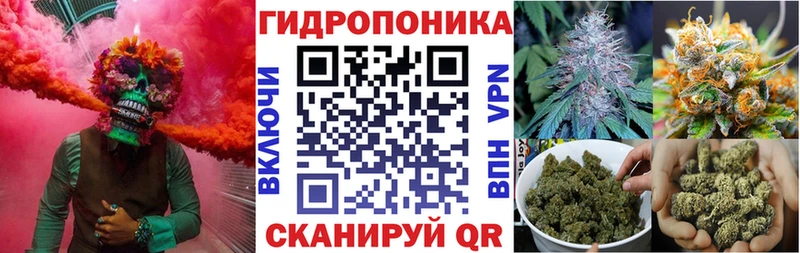 hydra маркетплейс  хочу   площадка телеграм  Бошки марихуана SATIVA & INDICA  Завитинск 